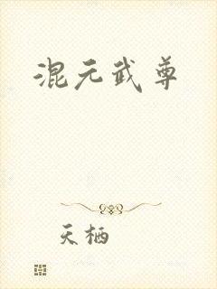 混元武尊封面