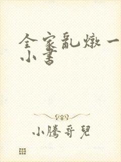 全家乱炖一锅烩小书