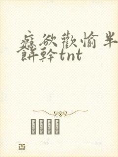 瘾欲欢愉半块小饼干tnt