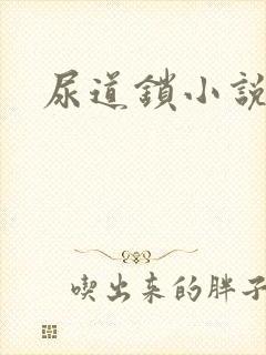 尿道锁小说封面