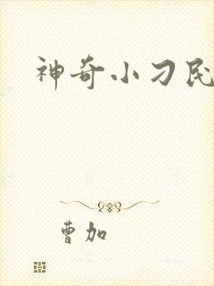 神奇小刁民