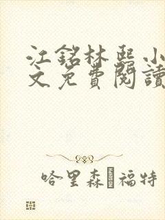 江铭林熙小说全文免费阅读