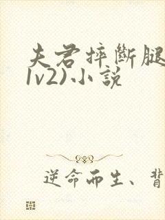 夫君摔断腿后(1v2)小说