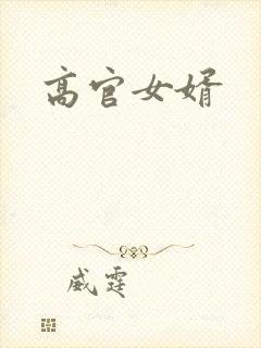 高官女婿封面