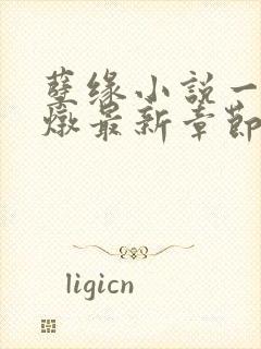 孽缘小说一家乱炖最新章节阅读封面