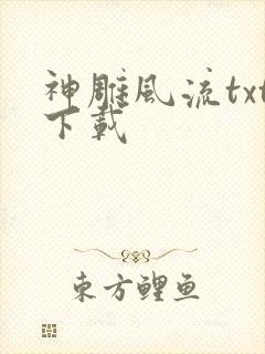 神雕风流txt下载