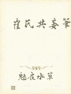 崔氏共妾笔趣阁