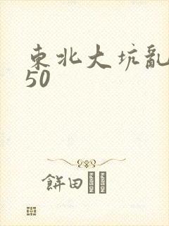 东北大坑乱1—50