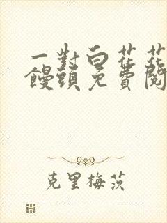 一对白花花的大馒头免费阅读