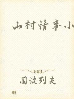 山村情事小说封面