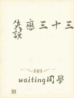 失恋三十三天小说