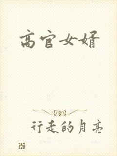 高官女婿