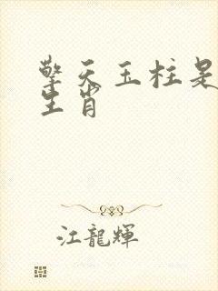 擎天玉柱是什么生肖