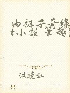 内裤子奇缘txt小说 笔趣阁