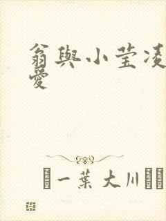 翁与小莹凌晨欢爱封面