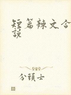 短篇辣文合集小说封面