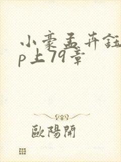 小豪孟卉钰慧三p上79章