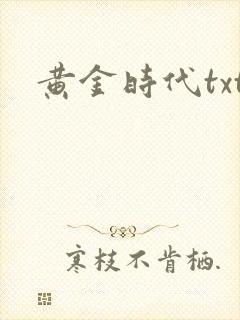 黄金时代txt封面