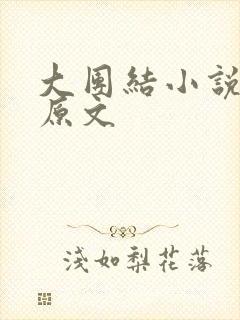 大团结小说阅读原文