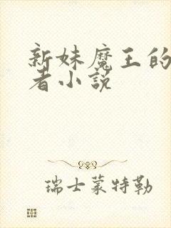 新妹魔王的契约者小说