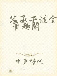 父承子液金银花 笔趣阁封面