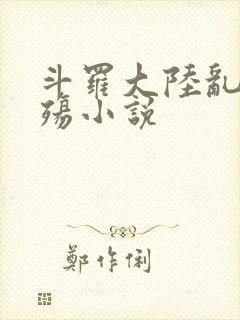 斗罗大陆乱世浮殇小说