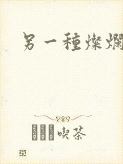 另一种灿烂生活封面