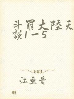 斗罗大陆天狂传说1一5