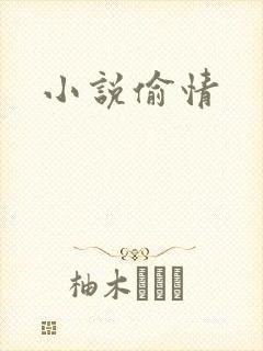 小说偷情
