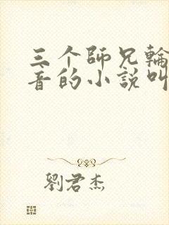 三个师兄轮流上音的小说叫什么封面