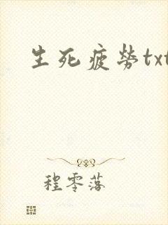 生死疲劳txt封面