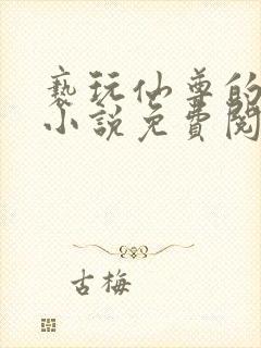 亵玩仙尊的道侣小说免费阅读