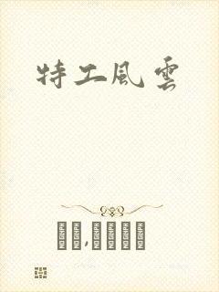 特工风云