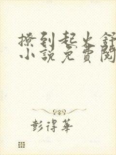 撩到起火舒漾的小说免费阅读全文