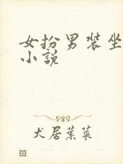 女扮男装坐江山小说