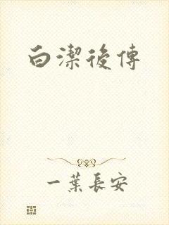 白洁后传封面