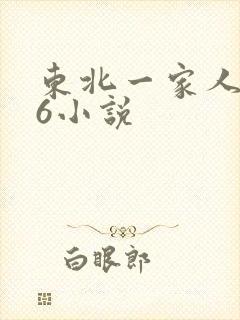 东北一家人1一6小说