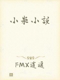 小米小说