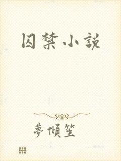 囚禁小说封面
