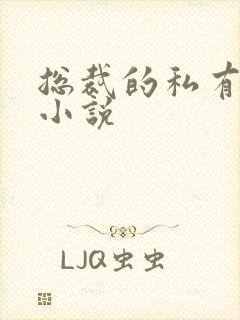 总裁的私有宝贝小说