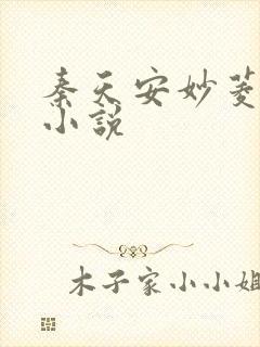 秦天安妙菱修仙小说