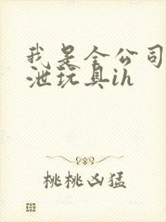 我是全公司的发泄玩具ih