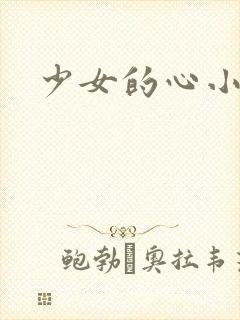 少女的心小说
