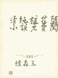 清纯校花堕落记小说免费阅读