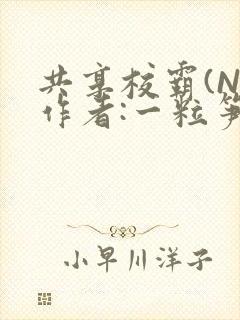 共享校霸(N)作者:一粒笋免费阅读封面