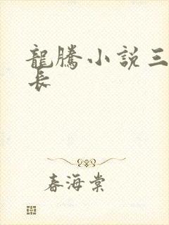 龙腾小说三宝局长