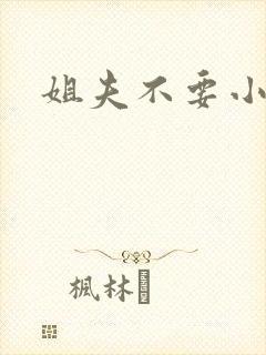 姐夫不要小说