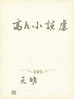 高h小说虐