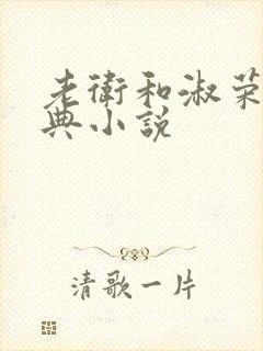 老卫和淑荣的经典小说