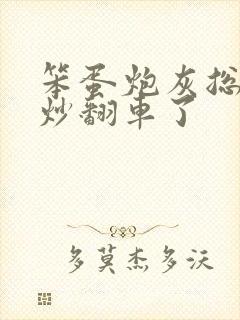 笨蛋炮灰总被爆炒翻车了